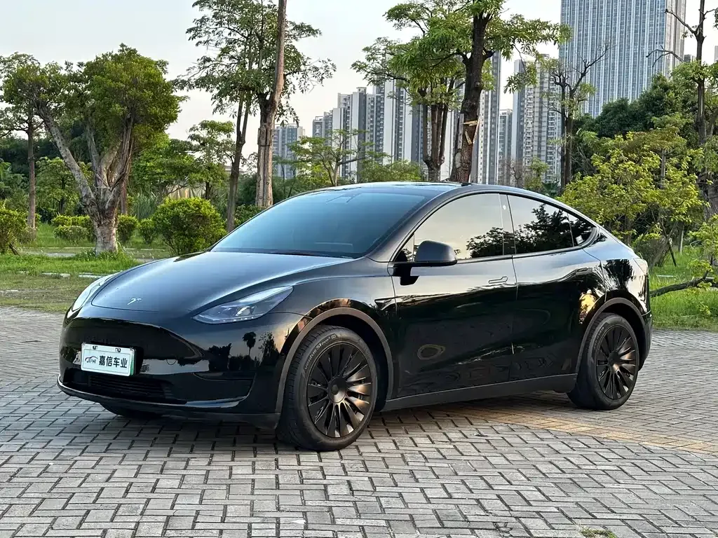 Tesla Model Y — фото 1