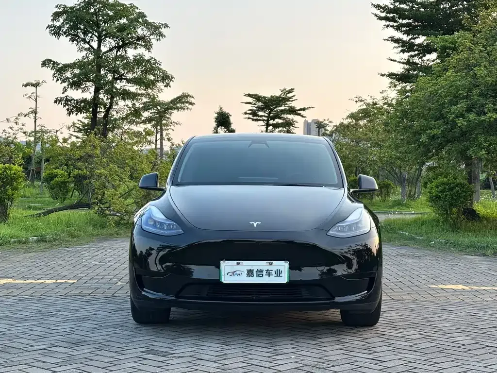 Tesla Model Y — фото 6