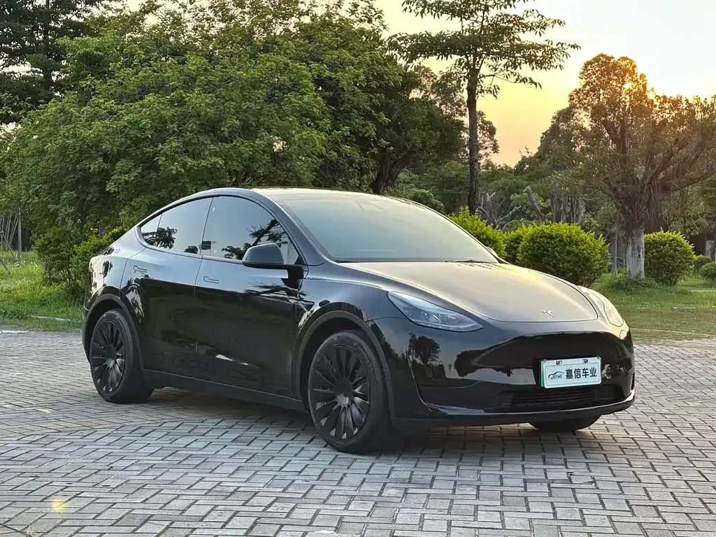 Tesla Model Y — фото 5