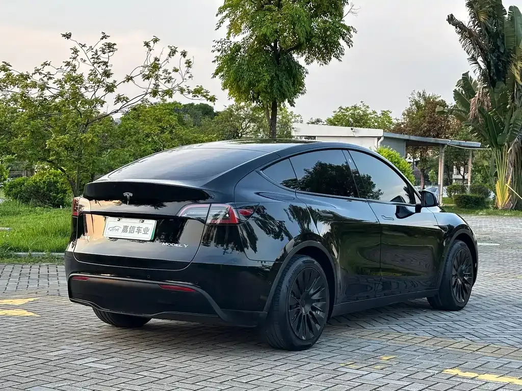 Tesla Model Y — фото 3