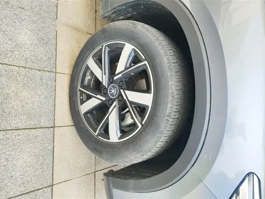 BYD Pro New Energy 2024 из CN, фото 2