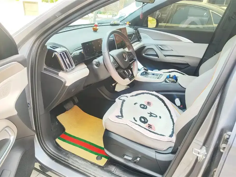 BYD Pro New Energy 2024 из CN, фото 7