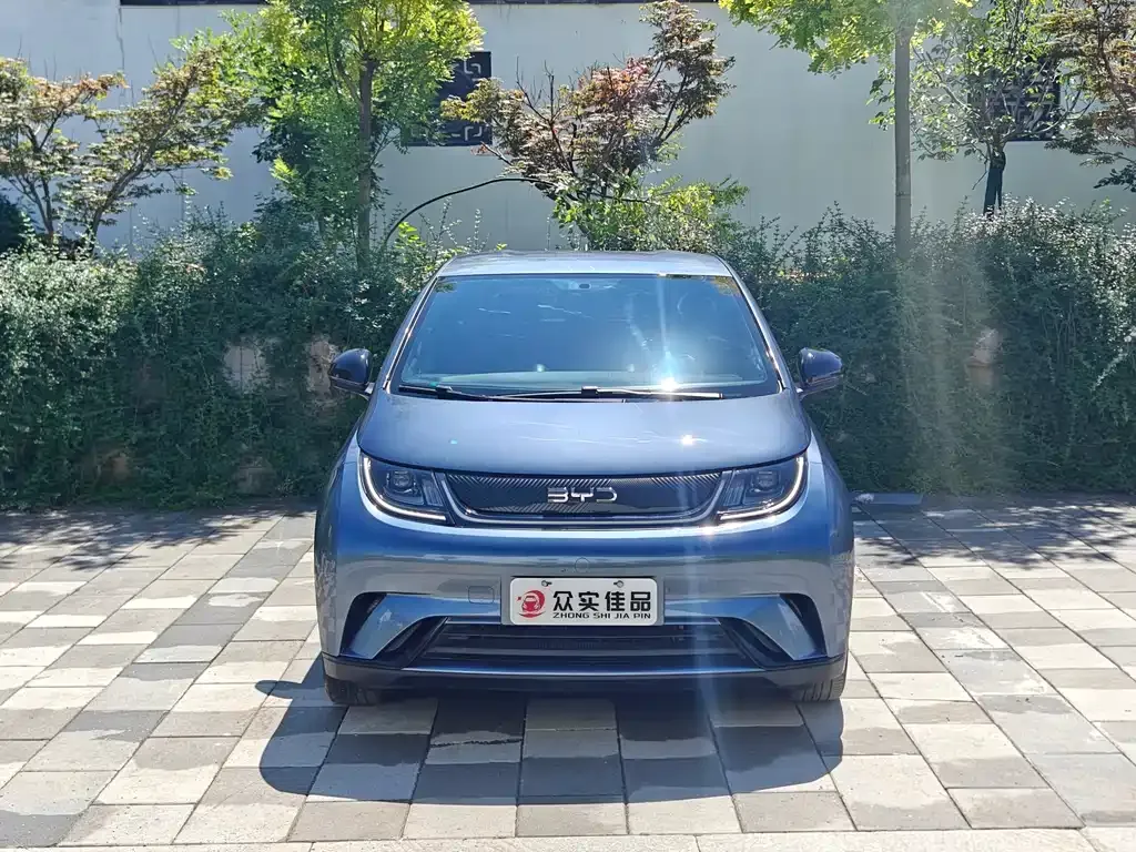 BYD Dolphin 2024 из CN, фото 4