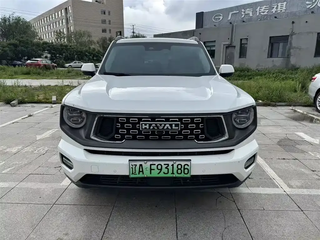 Haval H7 (Big Dog Plus) New Energy 2024 из CN, фото 5