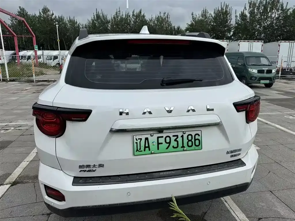 Haval H7 (Big Dog Plus) New Energy 2024 из CN, фото 7