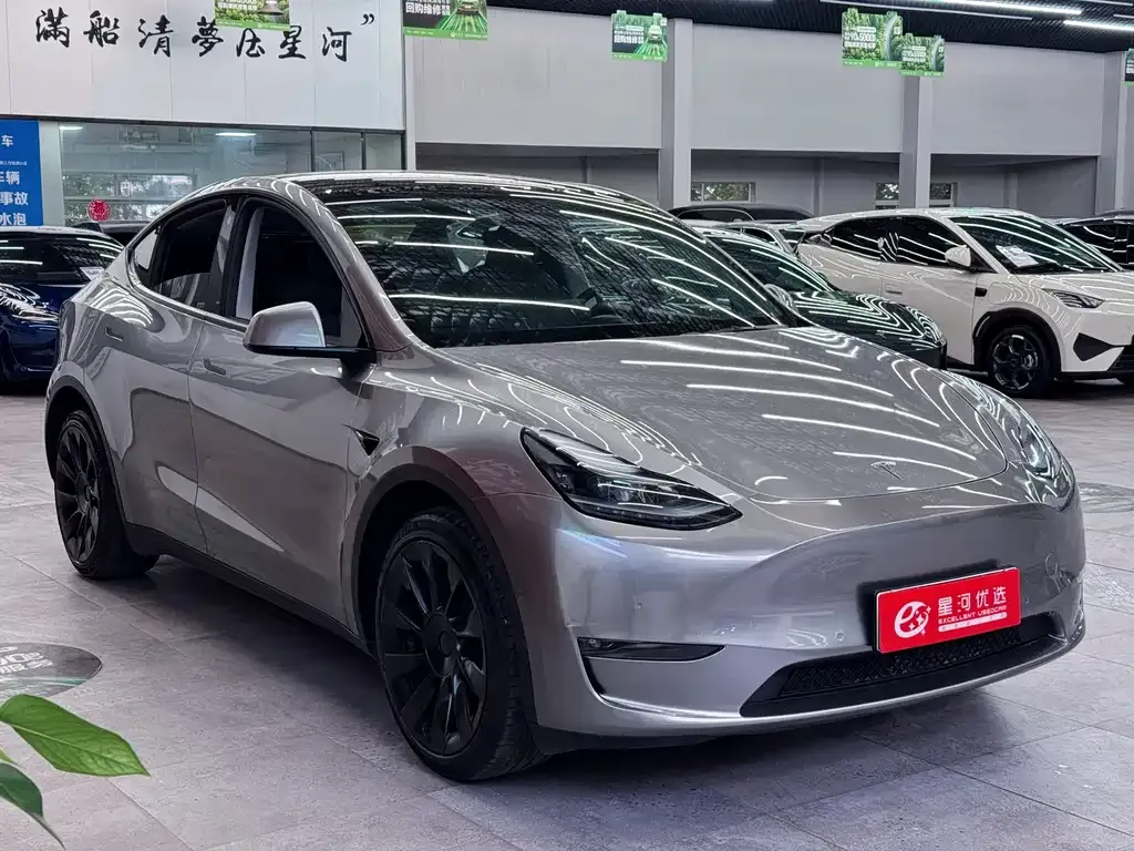 Tesla Model Y — фото 2