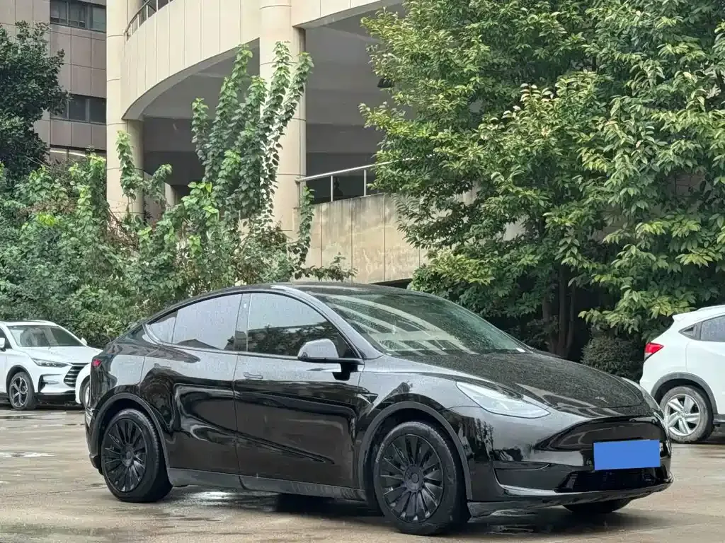 Tesla Model Y — фото 6