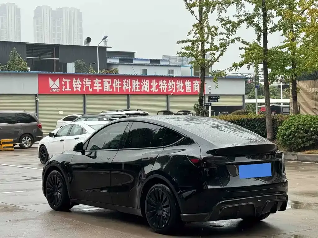 Tesla Model Y — фото 9