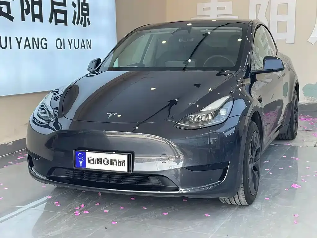 Tesla Model Y — фото 1