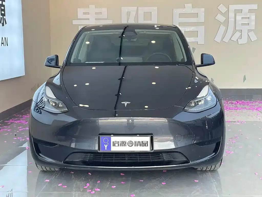 Tesla Model Y — фото 10