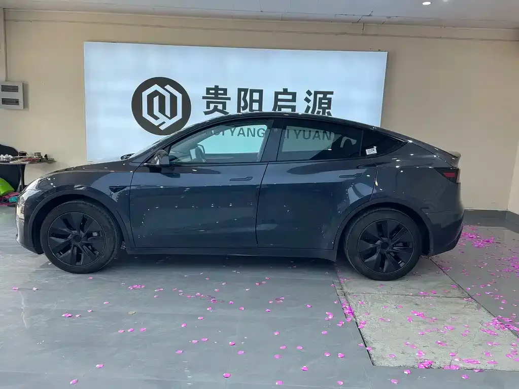 Tesla Model Y — фото 9