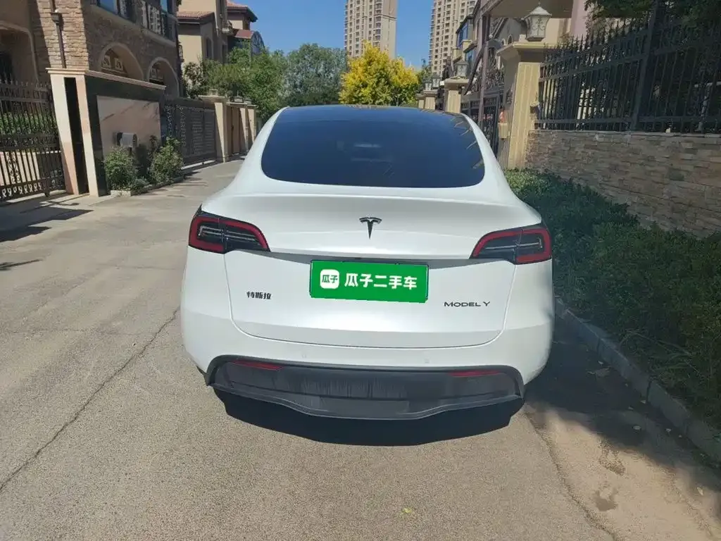 Tesla Model Y — фото 10