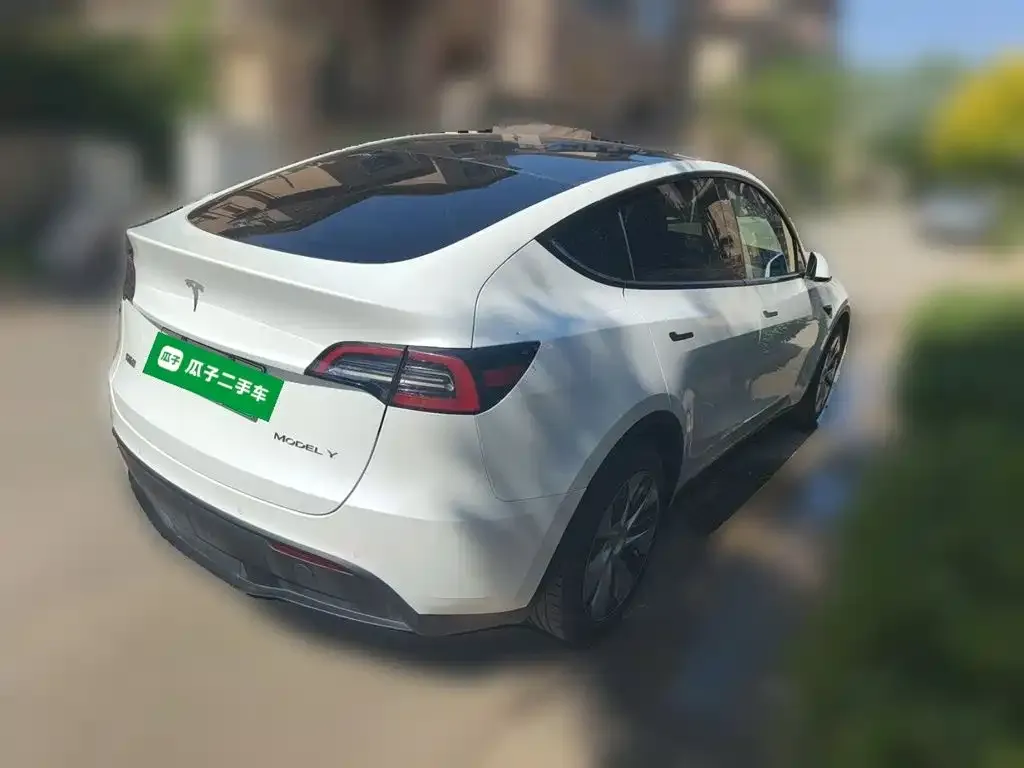 Tesla Model Y — фото 3