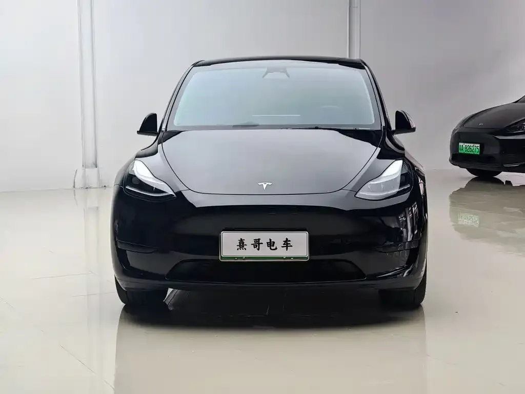 Tesla Model Y — фото 2