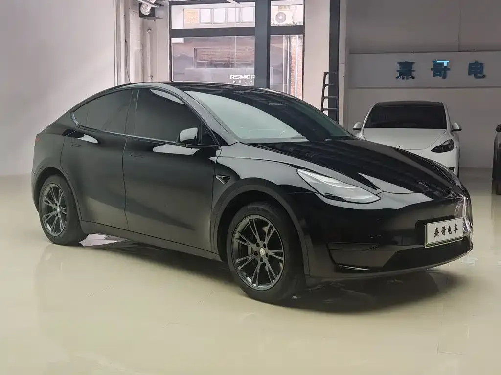 Tesla Model Y — фото 8