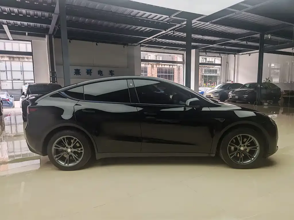 Tesla Model Y — фото 3