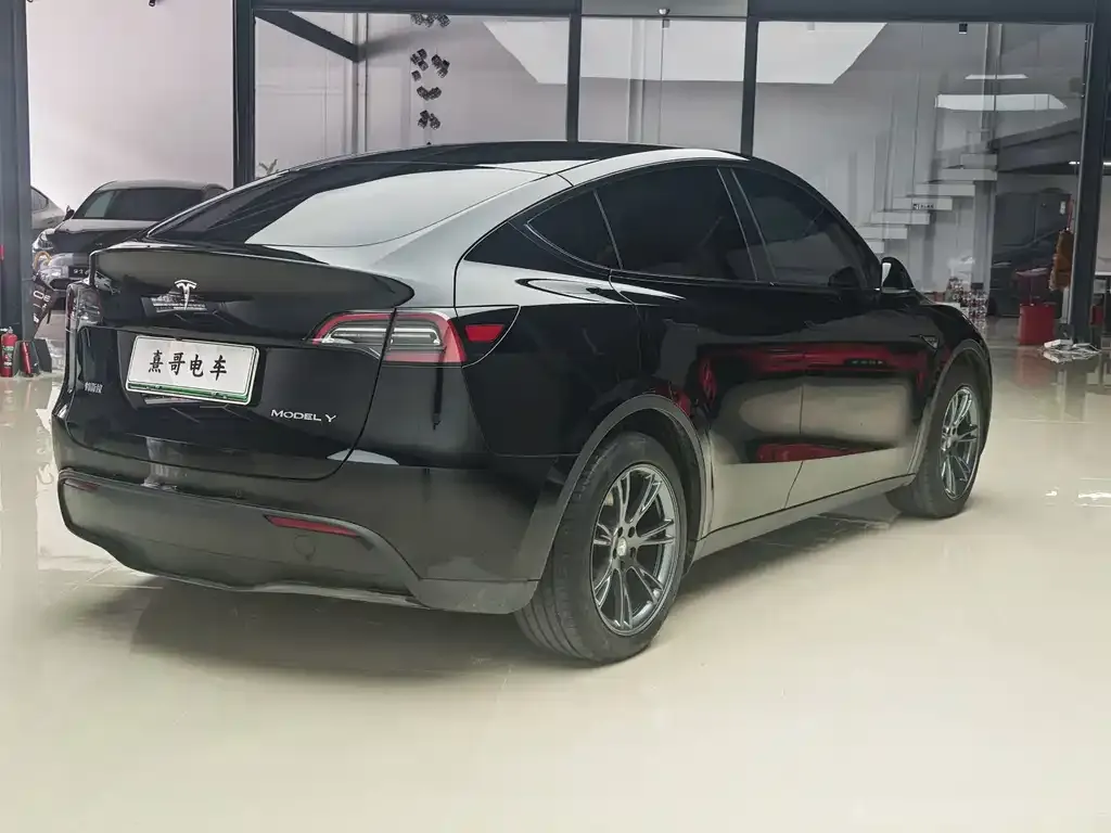 Tesla Model Y — фото 10
