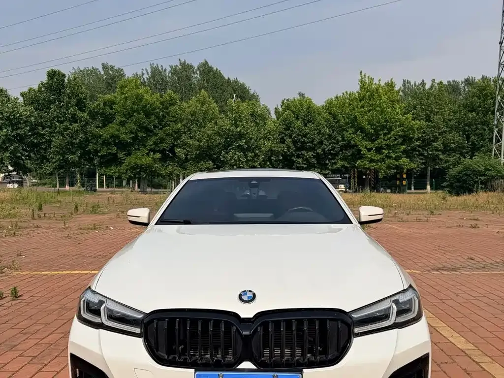 BMW 5 Series 2021 из CN, фото 5