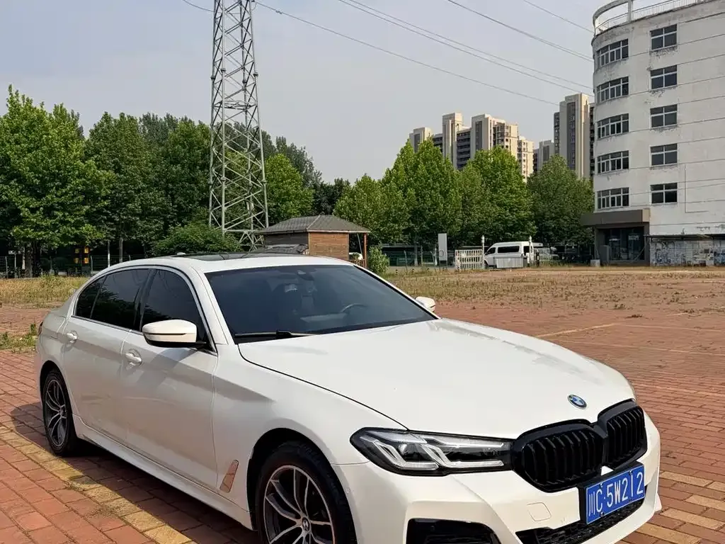 BMW 5 Series 2021 из CN, фото 7