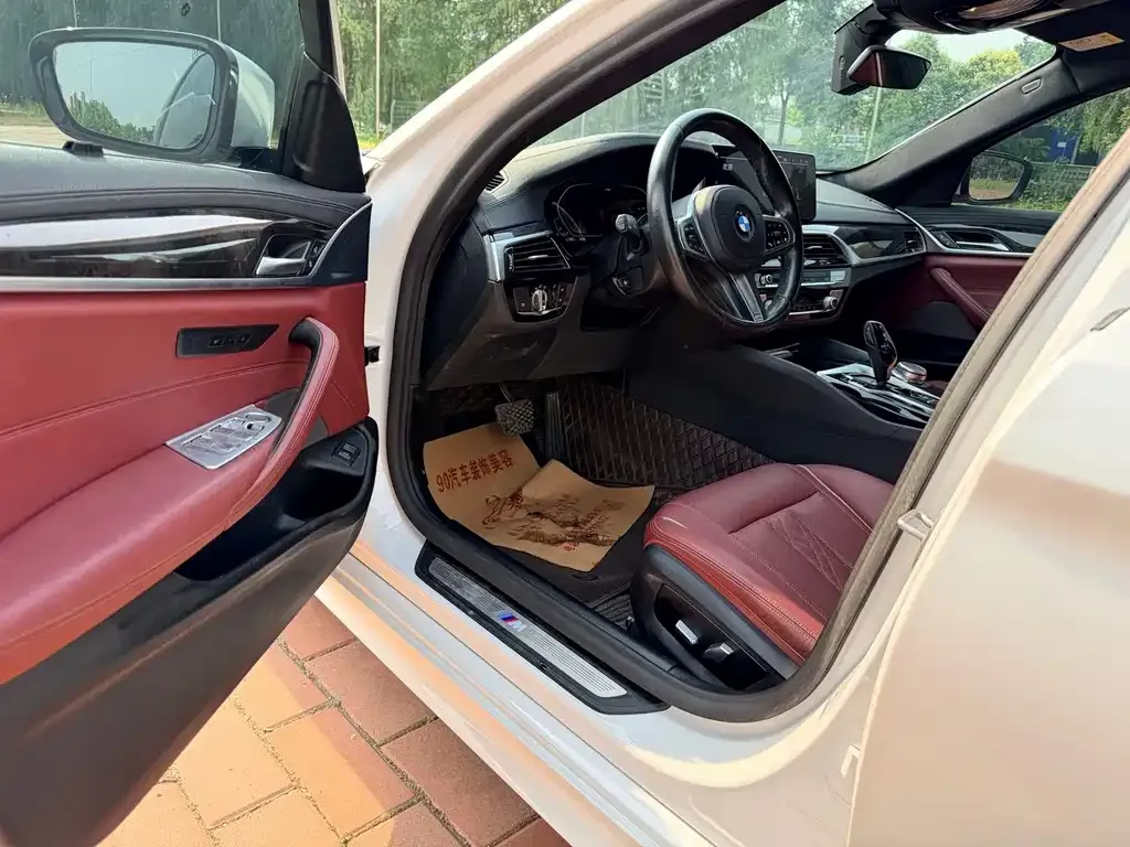 BMW 5 Series 2021 из CN, фото 9