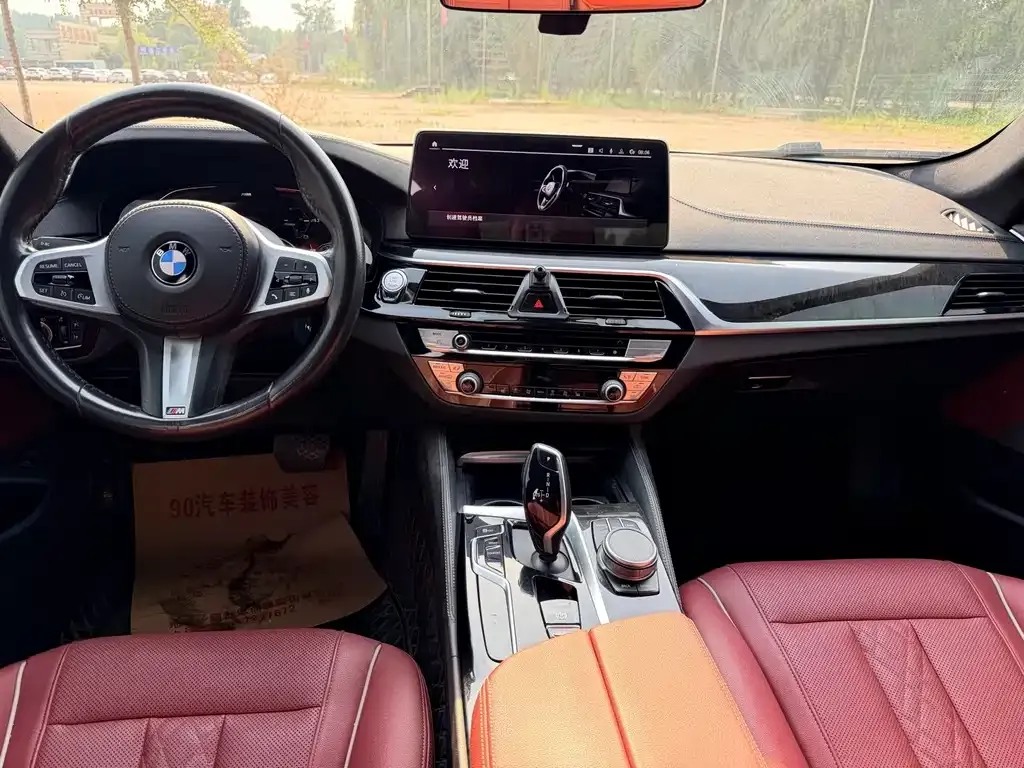 BMW 5 Series 2021 из CN, фото 8