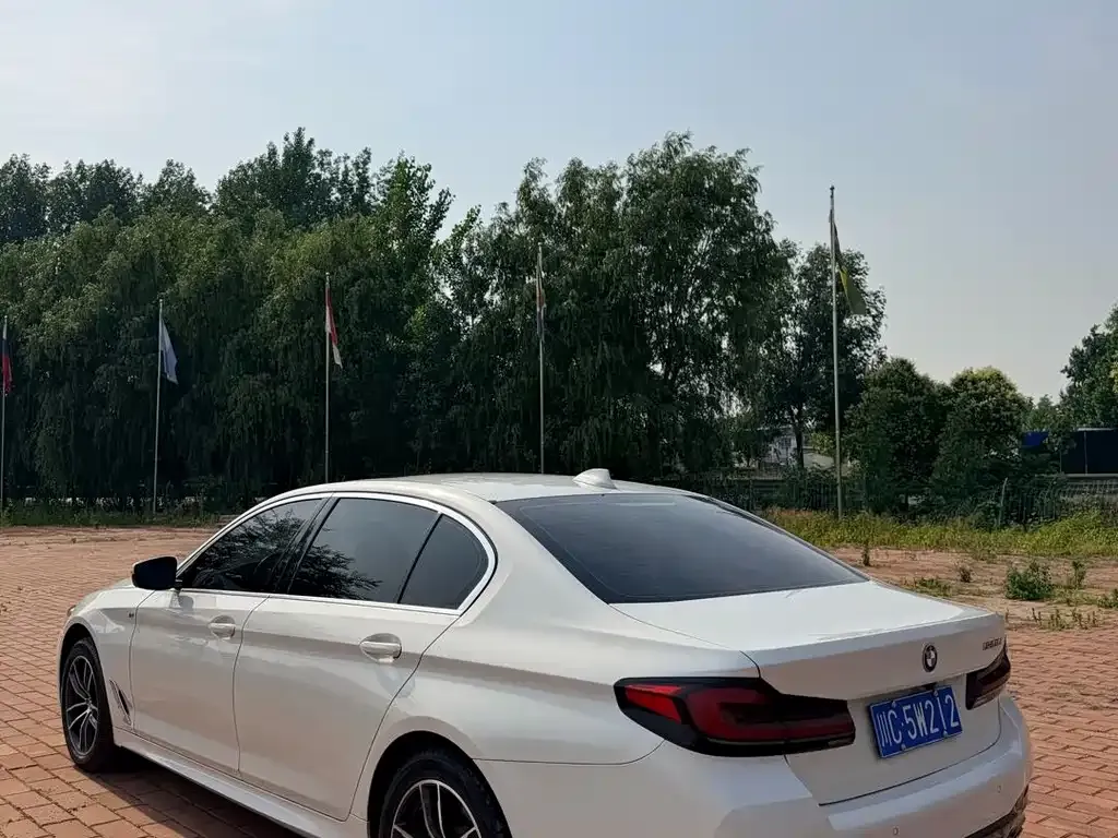 BMW 5 Series 2021 из CN, фото 6