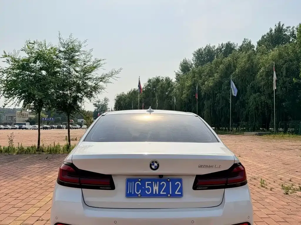 BMW 5 Series 2021 из CN, фото 4