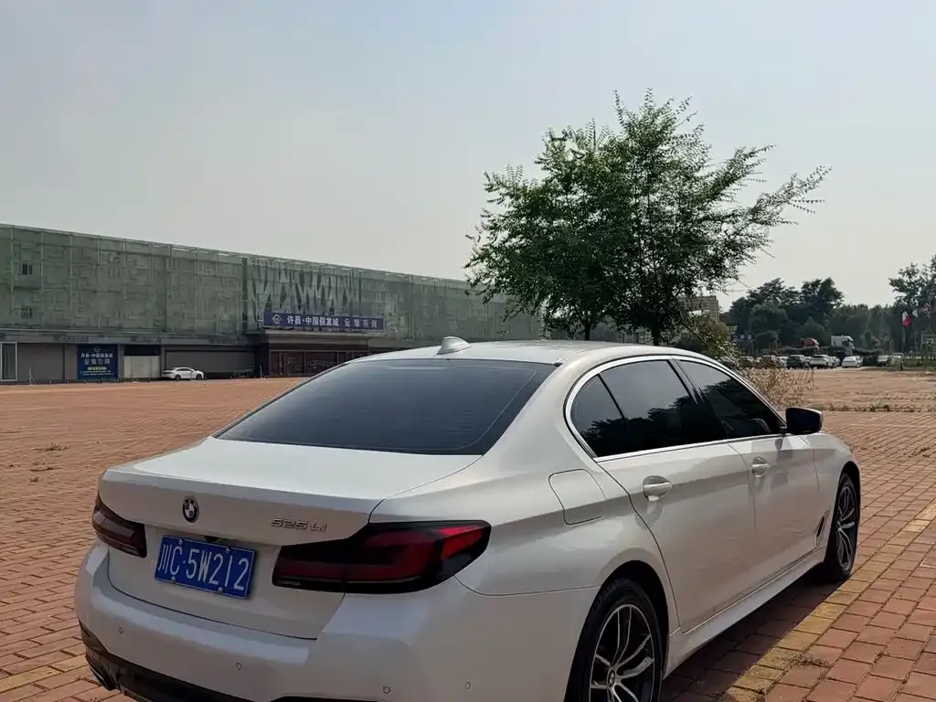 BMW 5 Series 2021 из CN, фото 2