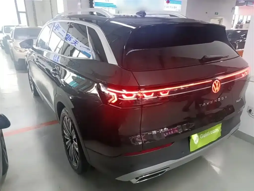 Volkswagen Tavendor 2024 из CN, фото 9