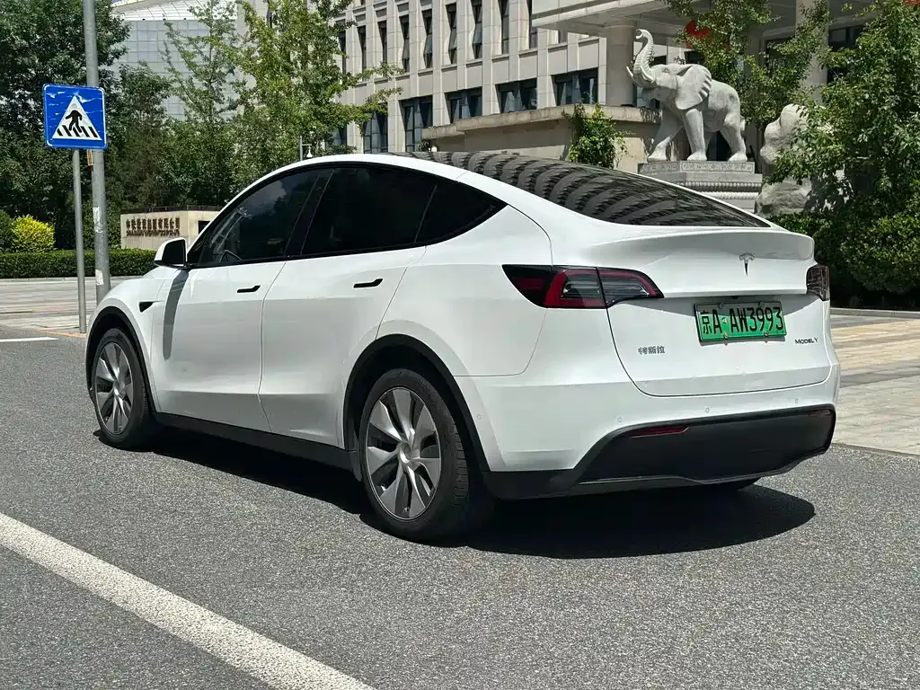 Tesla Model Y — фото 10