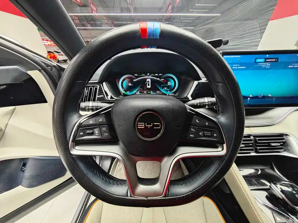 BYD PLUS New Energy — фото 5