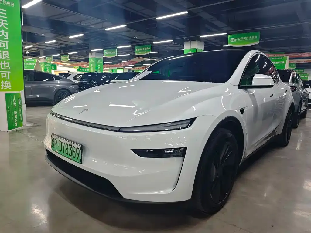 Tesla Model Y — фото 1