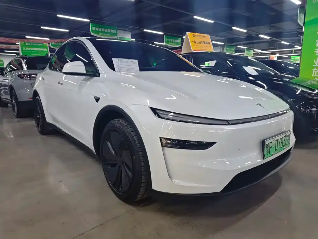 Tesla Model Y — фото 10