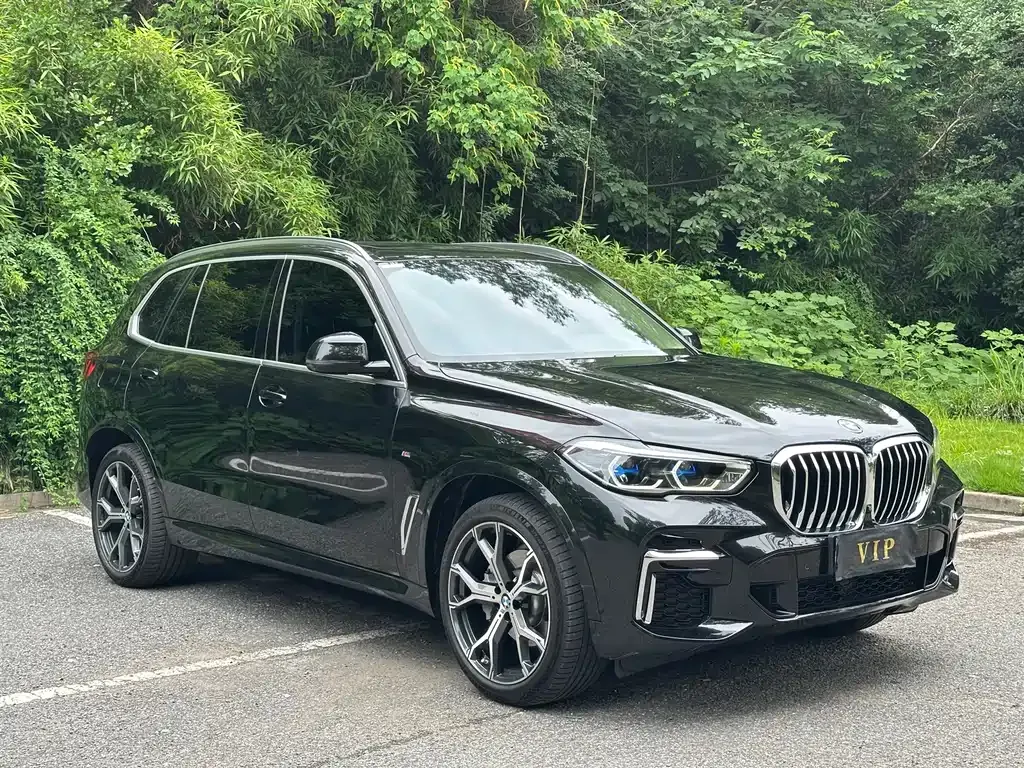 BMW X5 — фото 10