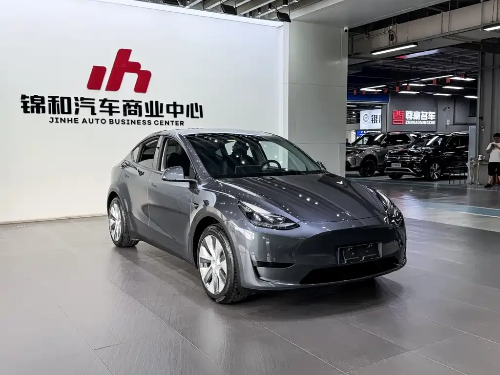 Tesla Model Y — фото 10
