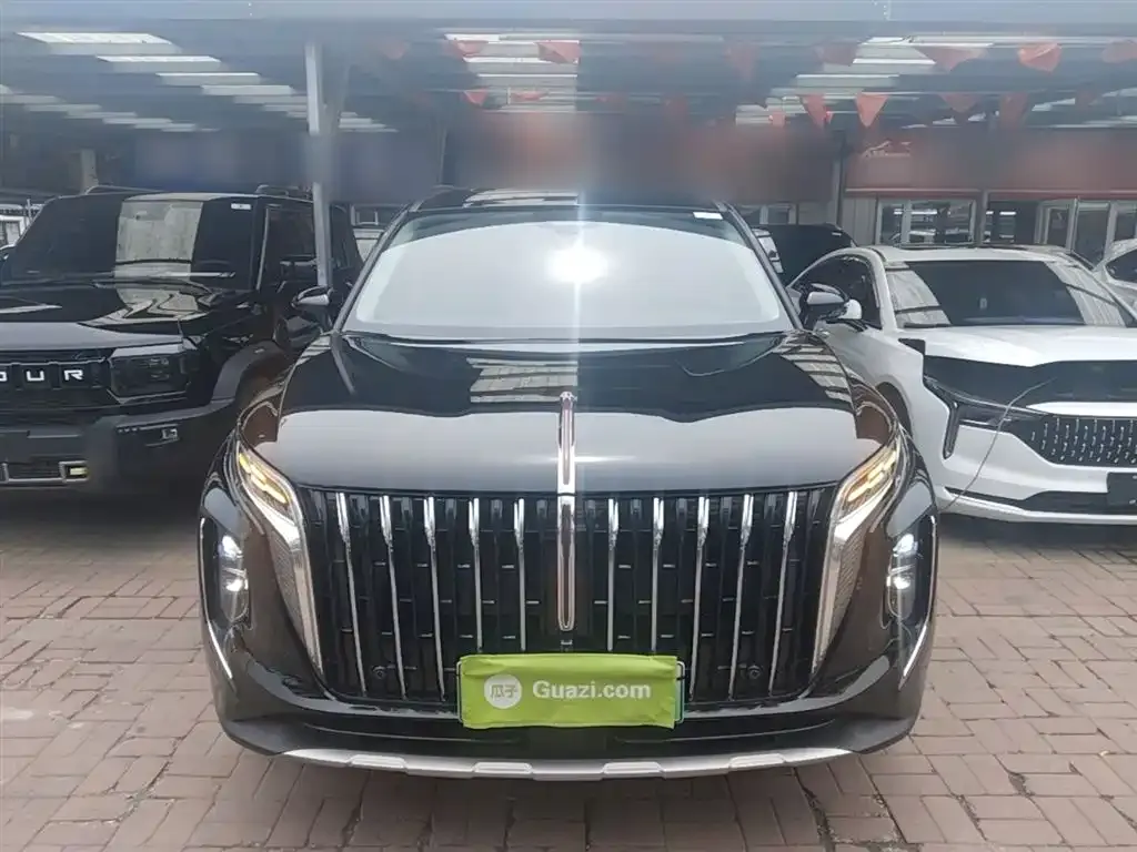 Hongqi HS7 PHEV 2024 из CN, фото 4