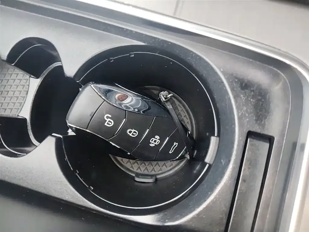 Hongqi HS7 PHEV 2024 из CN, фото 9