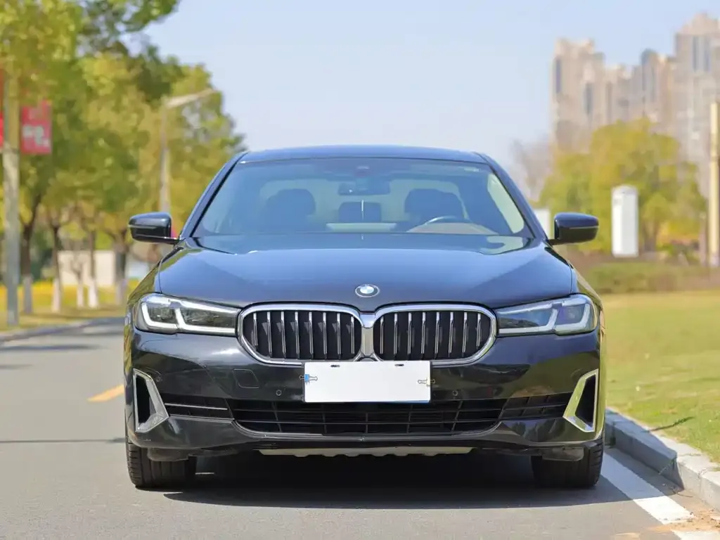 BMW 5 Series 2021 из CN, фото 4