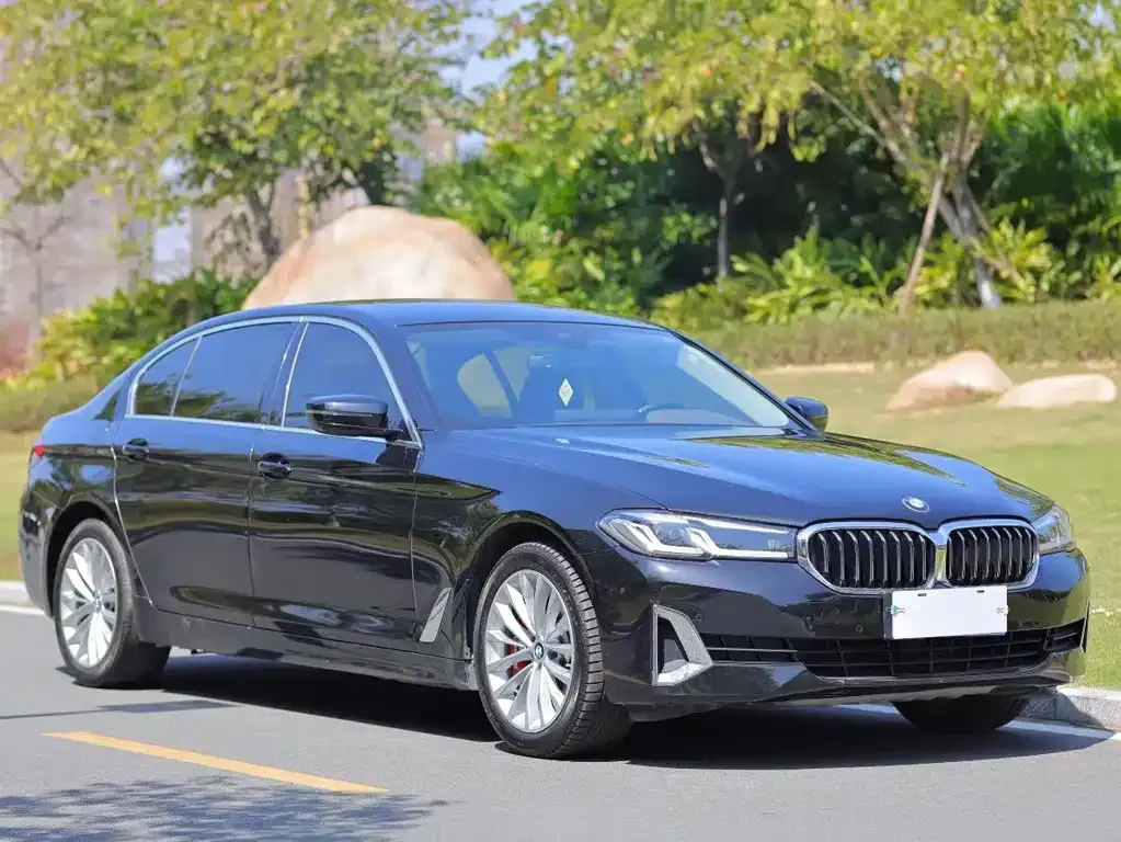 BMW 5 Series 2021 из CN, фото 3