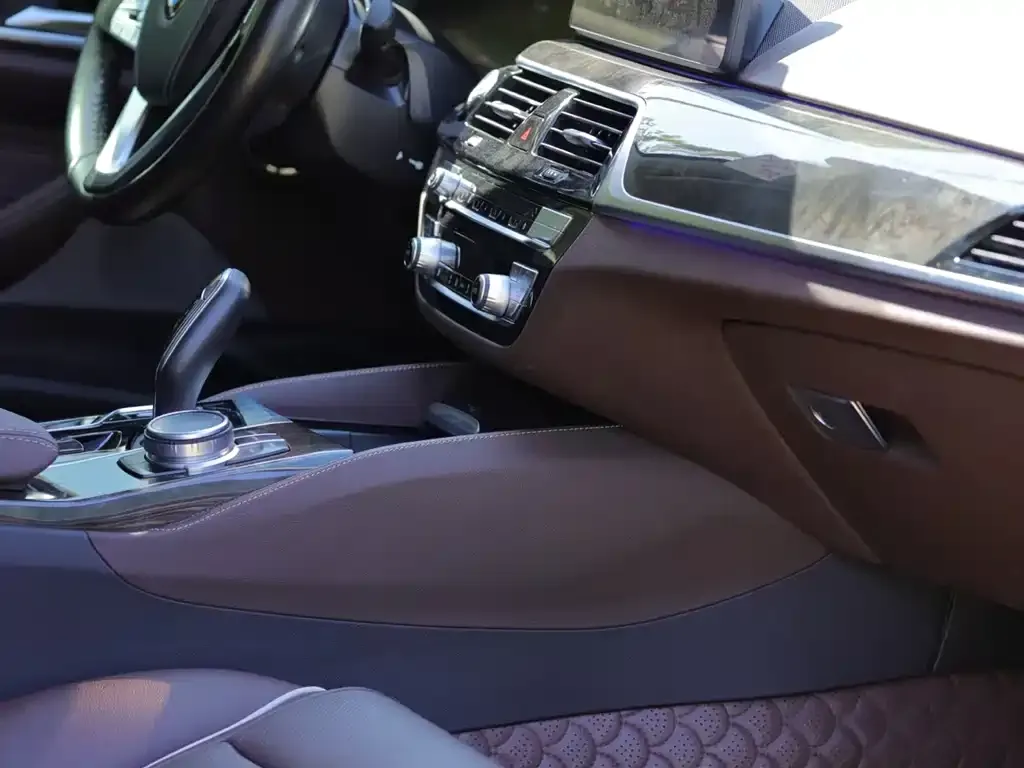 BMW 5 Series 2021 из CN, фото 5