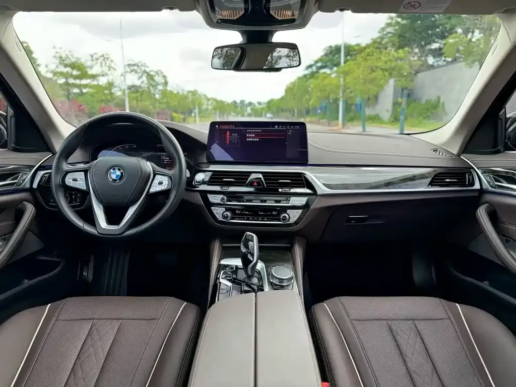 BMW 5 Series 2021 из CN, фото 6