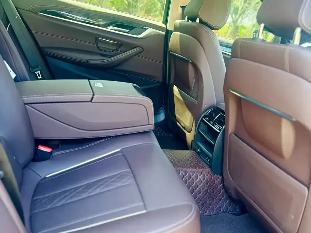 BMW 5 Series 2021 из CN, фото 2