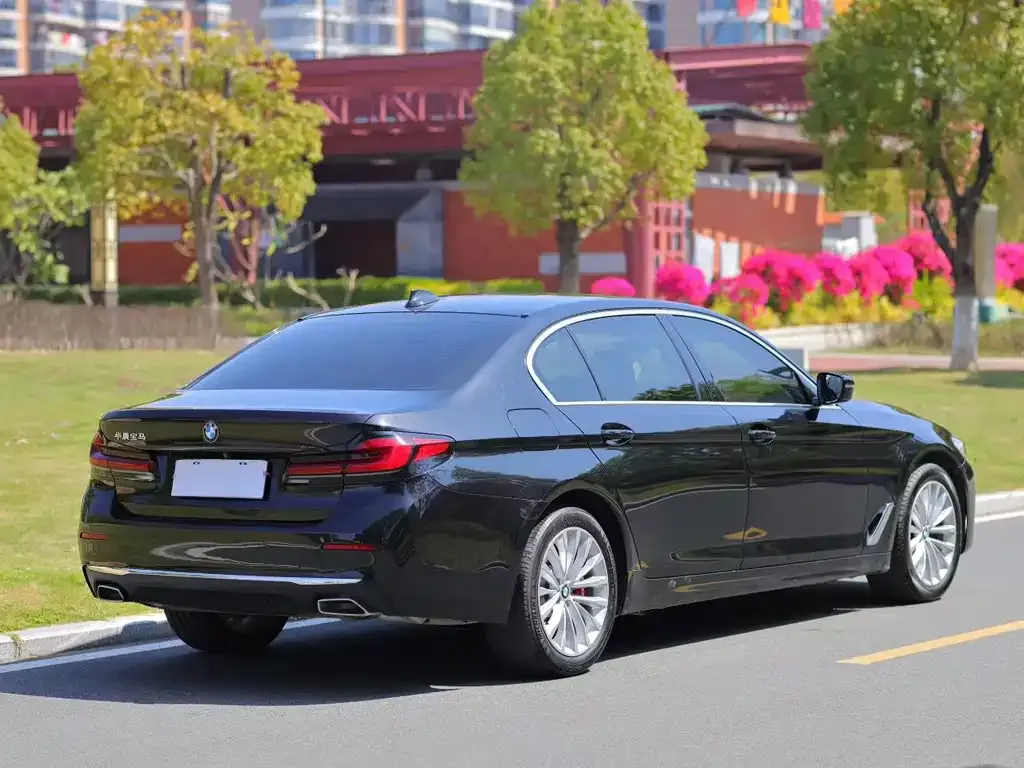 BMW 5 Series 2021 из CN, фото 8