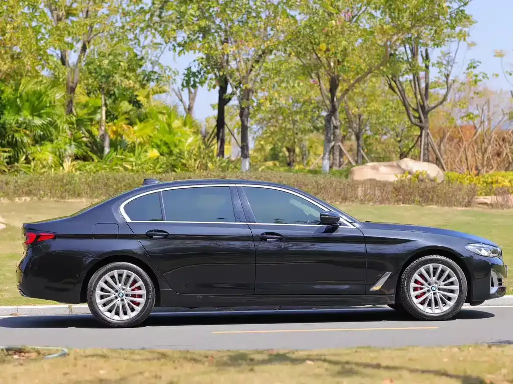 BMW 5 Series 2021 из CN, фото 9
