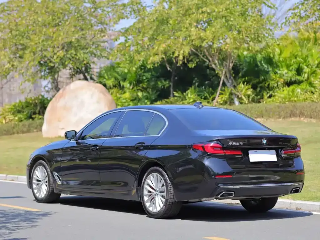 BMW 5 Series 2021 из CN, фото 7