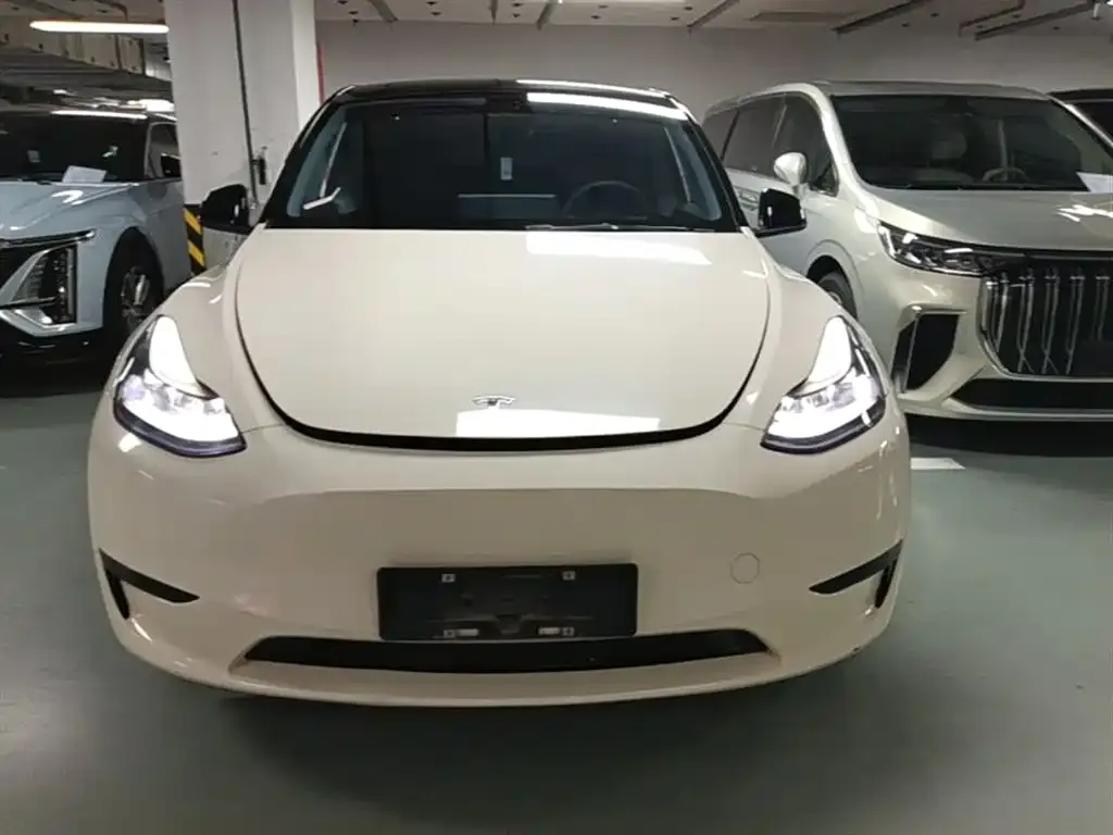 Tesla Model Y — фото 2
