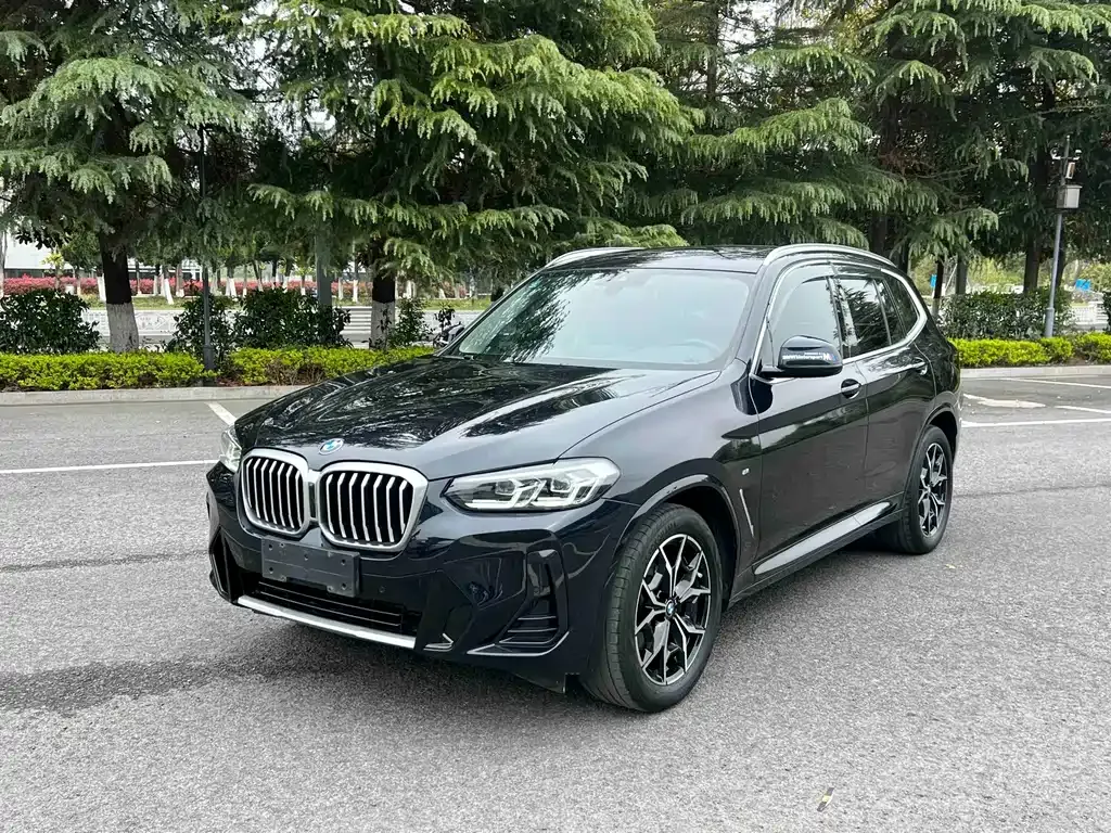 BMW X3 — фото 1
