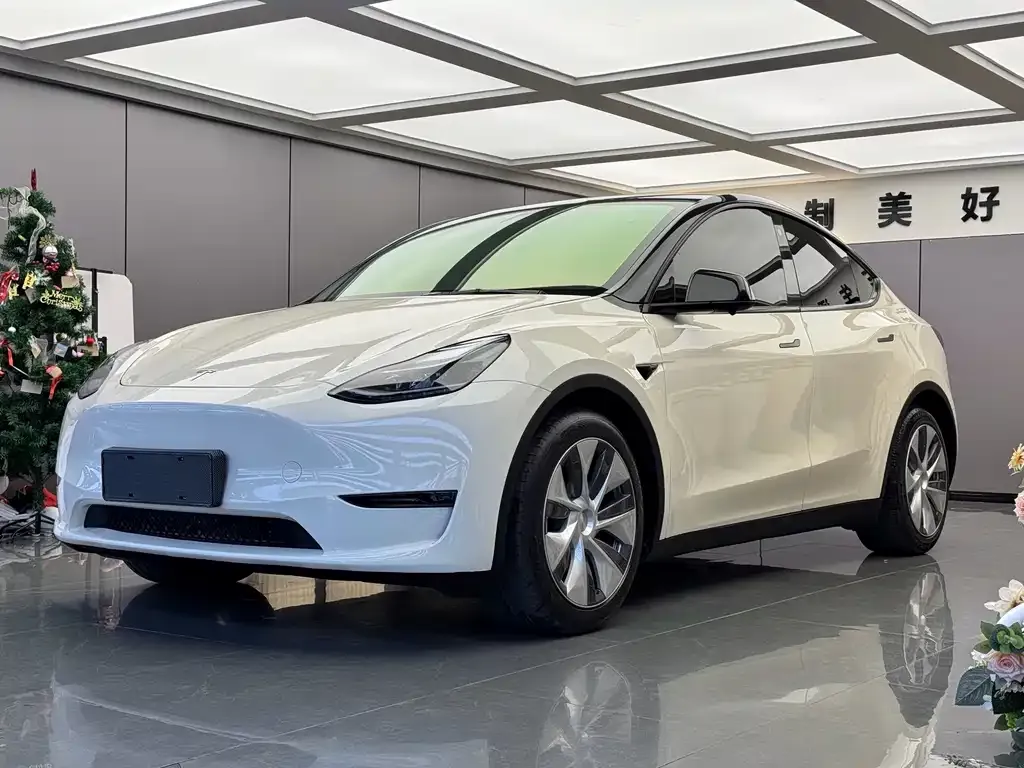 Tesla Model Y — фото 1