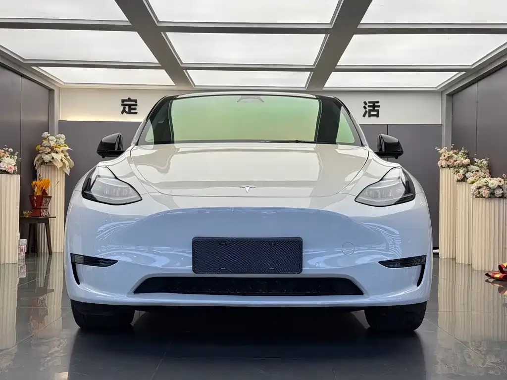 Tesla Model Y — фото 10