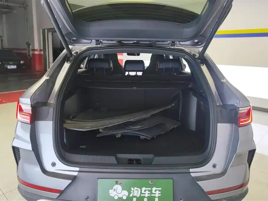 BYD PLUS New Energy — фото 2